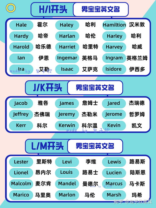 纸飞机聊天软件英文名,纸飞机聊天软件怎么设置成中文版
