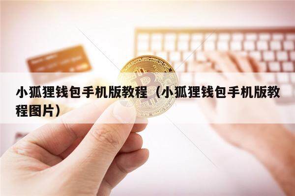 狐狸钱包手机版怎么用,小狐狸钱包app711