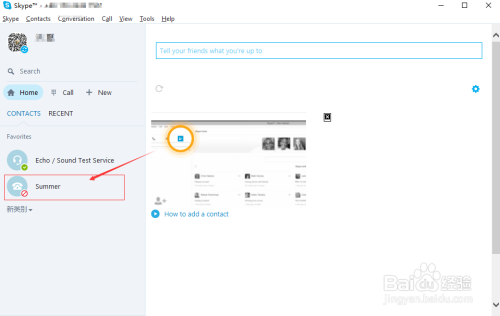 英文skype什么意思,skype翻译成中文是什么意思