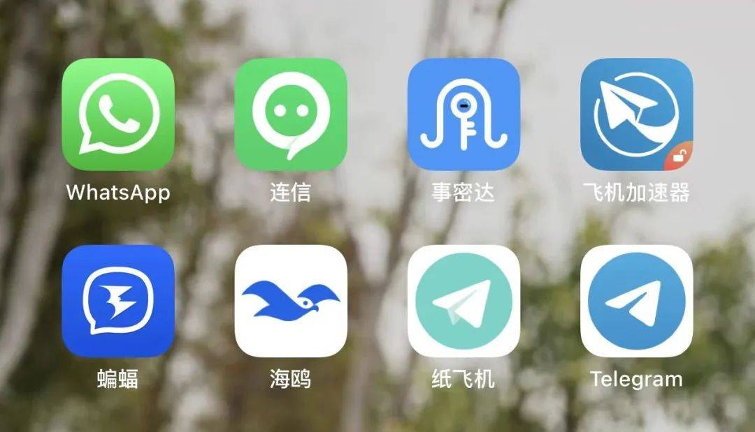 关于纸飞机app下载苹果版的信息