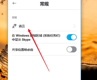 skype网页无法打开,skype不能用了吗 网络正常