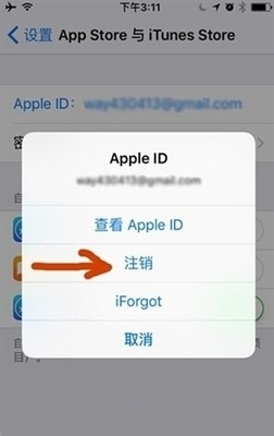 苹果纸飞机改中文怎么改,苹果纸飞机怎么设置中文版教程