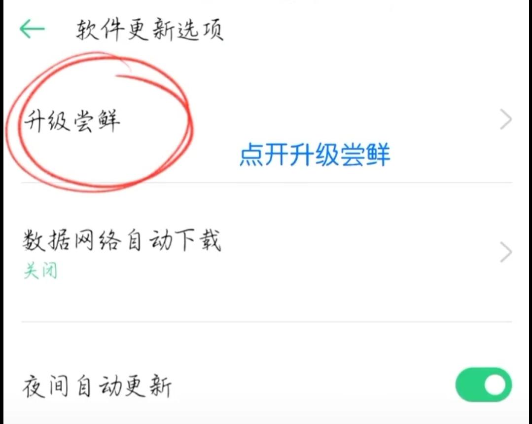 oppo手机小狐狸钱包闪退怎么回事啊怎么解决的简单介绍