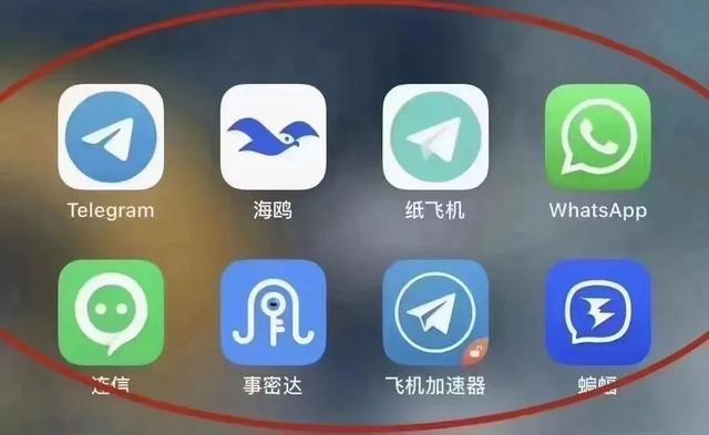 关于纸飞机telegeram官网入口的信息