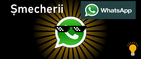whatsapp下载APK,whatsapp app下载
