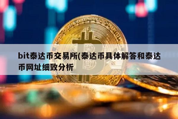 泰达币在哪交易,泰达币用什么软件交易