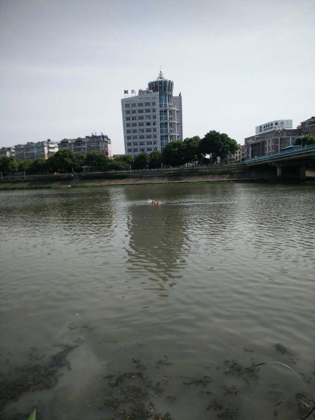 借梯子的寓意和道理_借梯子的寓意和道理图片