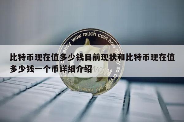 比特币最高的时候是多少钱一枚啊_比特币最高的时候是多少钱一枚啊视频