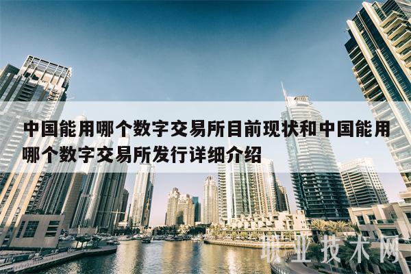 中国合法的数字货币有哪些_中国合法的数字货币有哪些种类