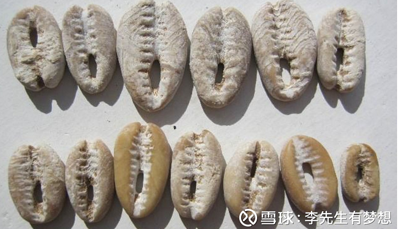 一般等价物有哪些_一般等价物是什么?