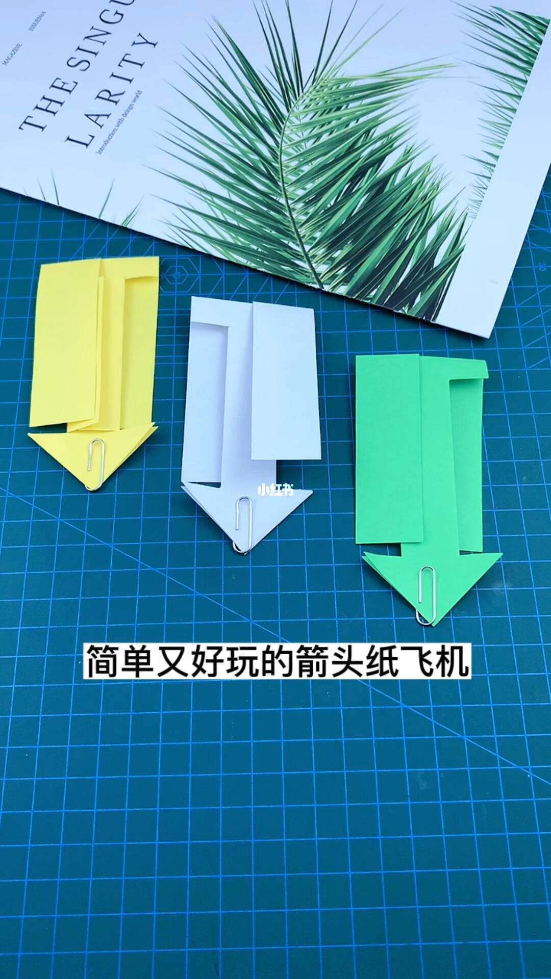 纸飞机怎么设置中文版教程_纸飞机安装zh_cn语言包