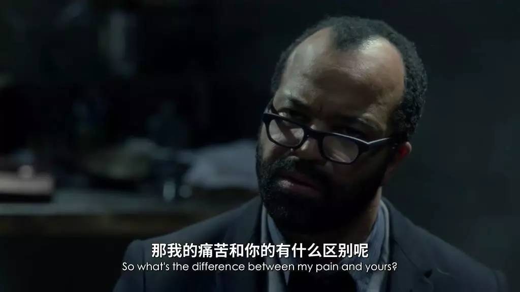 西部世界梯子用不了_西部世界怎么进不了游戏啦
