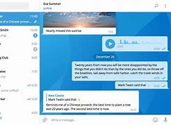 关于web.telegram.org.cn的信息