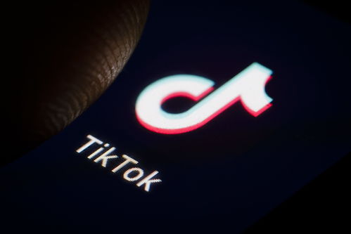 toktiktok下载ios_tiktokdownload ios