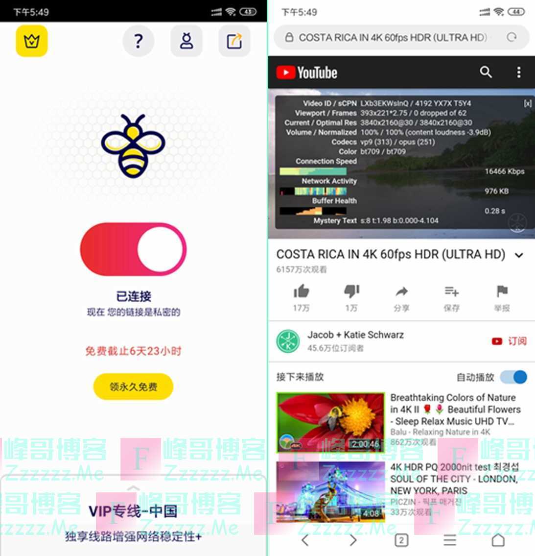 免费梯子加速器永久免费版_免费梯子加速器永久免费版pc电脑