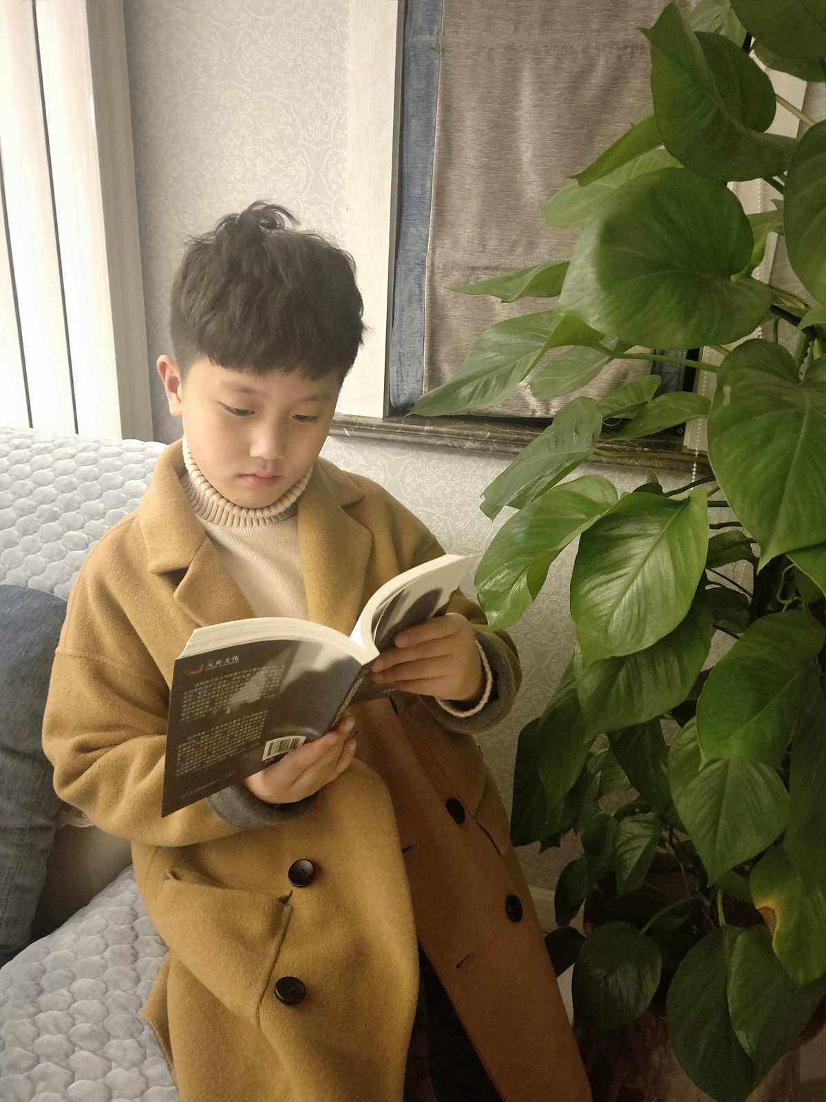 扛着梯子走的人读后感_一个扛着梯子的人 在大街上走来走去