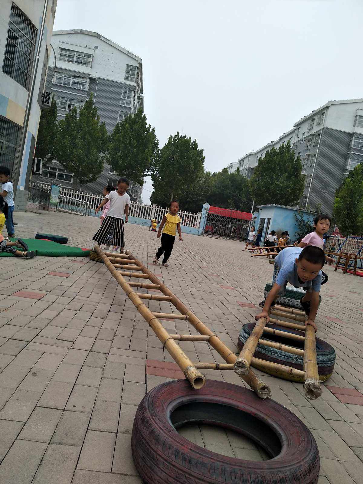 梯子游戏观察_梯子游戏观察记录表