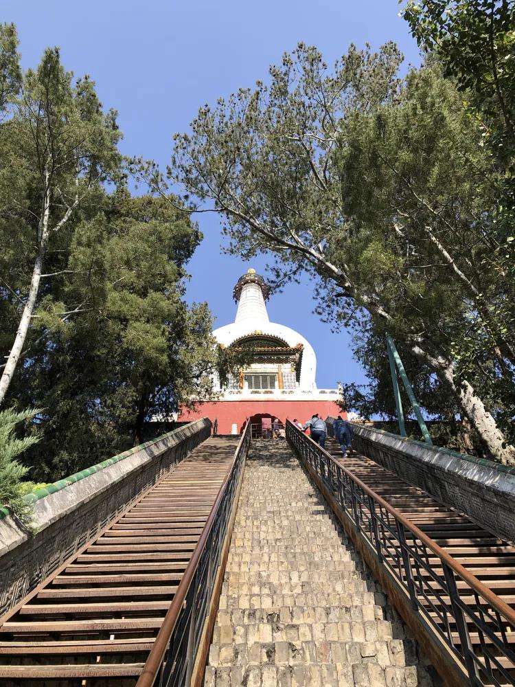 七天上望的梯子图片的简单介绍