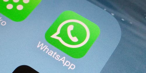 whatsapp官方网下载最新版2020_whatsapp官方网下载安卓2020手机版
