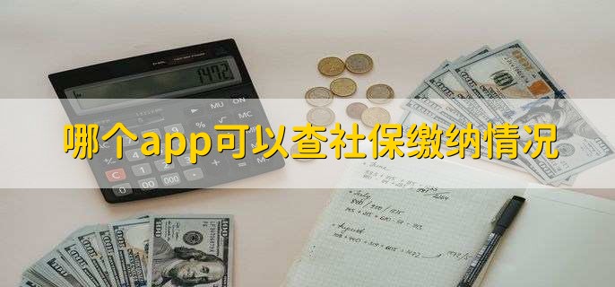 梯子app英文名_梯子english