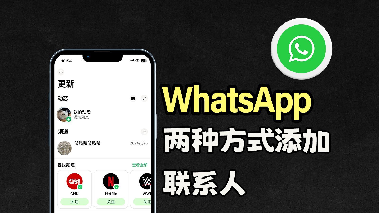 电脑版whatsapp怎么加好友_whatsapp电脑版怎么视频聊天