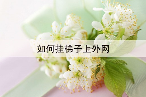 ipad怎么挂梯子上外网_ipad怎么挂梯子上外网知乎