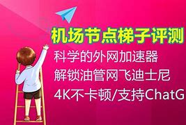 梯子vqn排行_2020梯子推荐