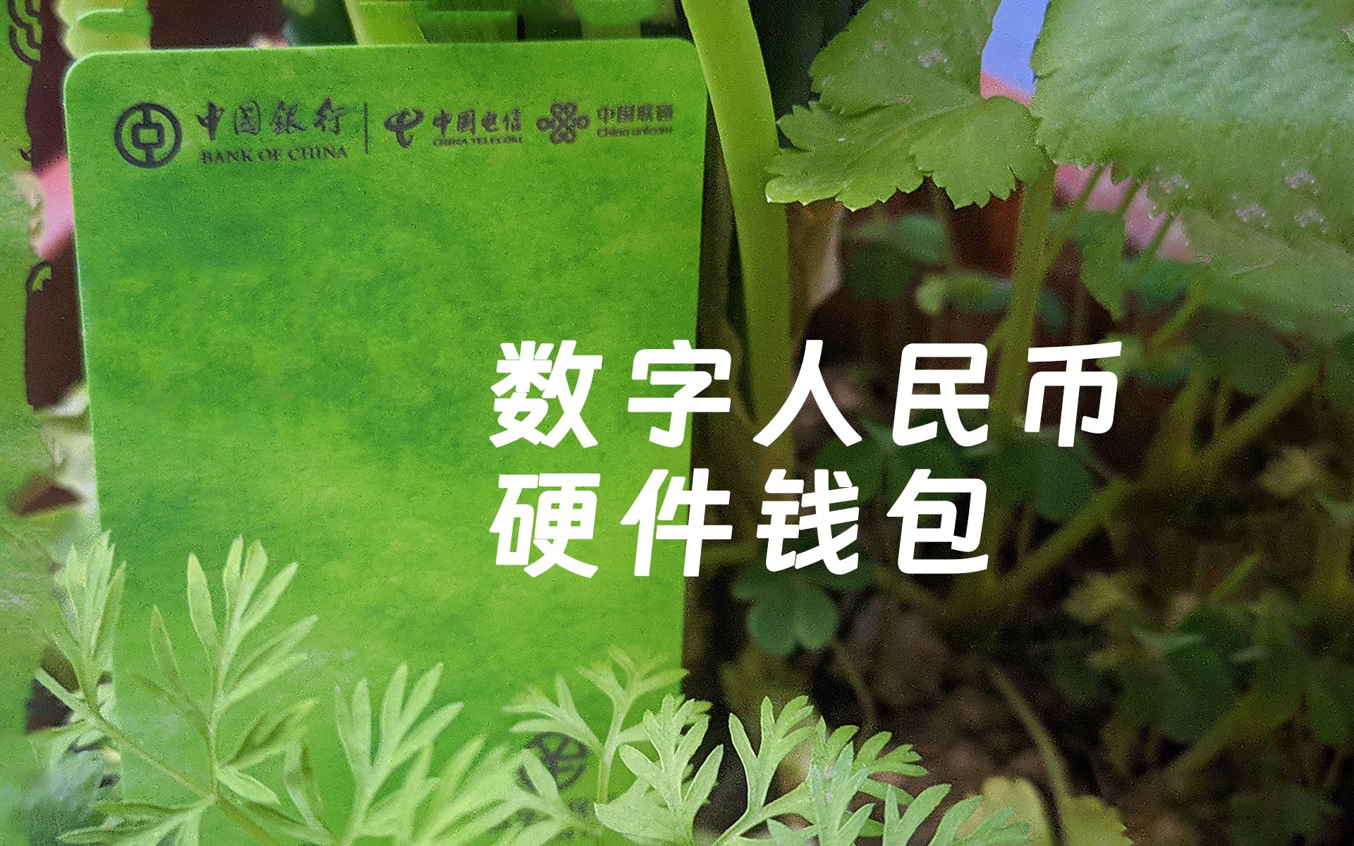 tp钱包有手续费吗_tp钱包转账要多少手续费