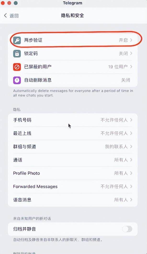 苹果手机telegeram登陆不上的简单介绍