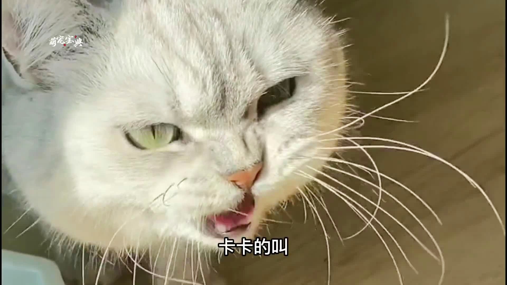 电报是什么梗的简单介绍