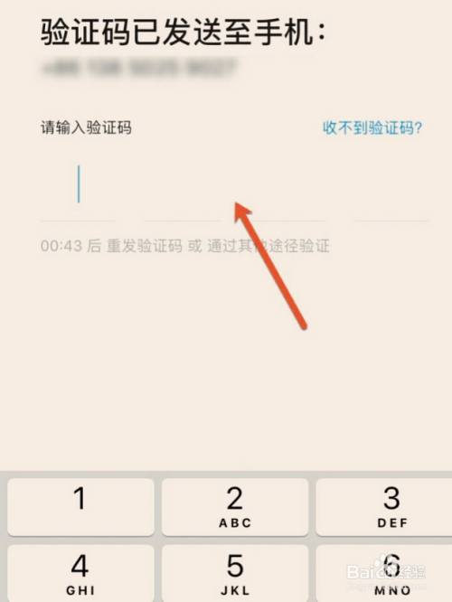 如果把验证码忘了怎么办_验证码忘记了怎么弄怎么办?