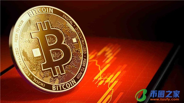 币圈公认的钱包_币圈的钱包是干嘛的