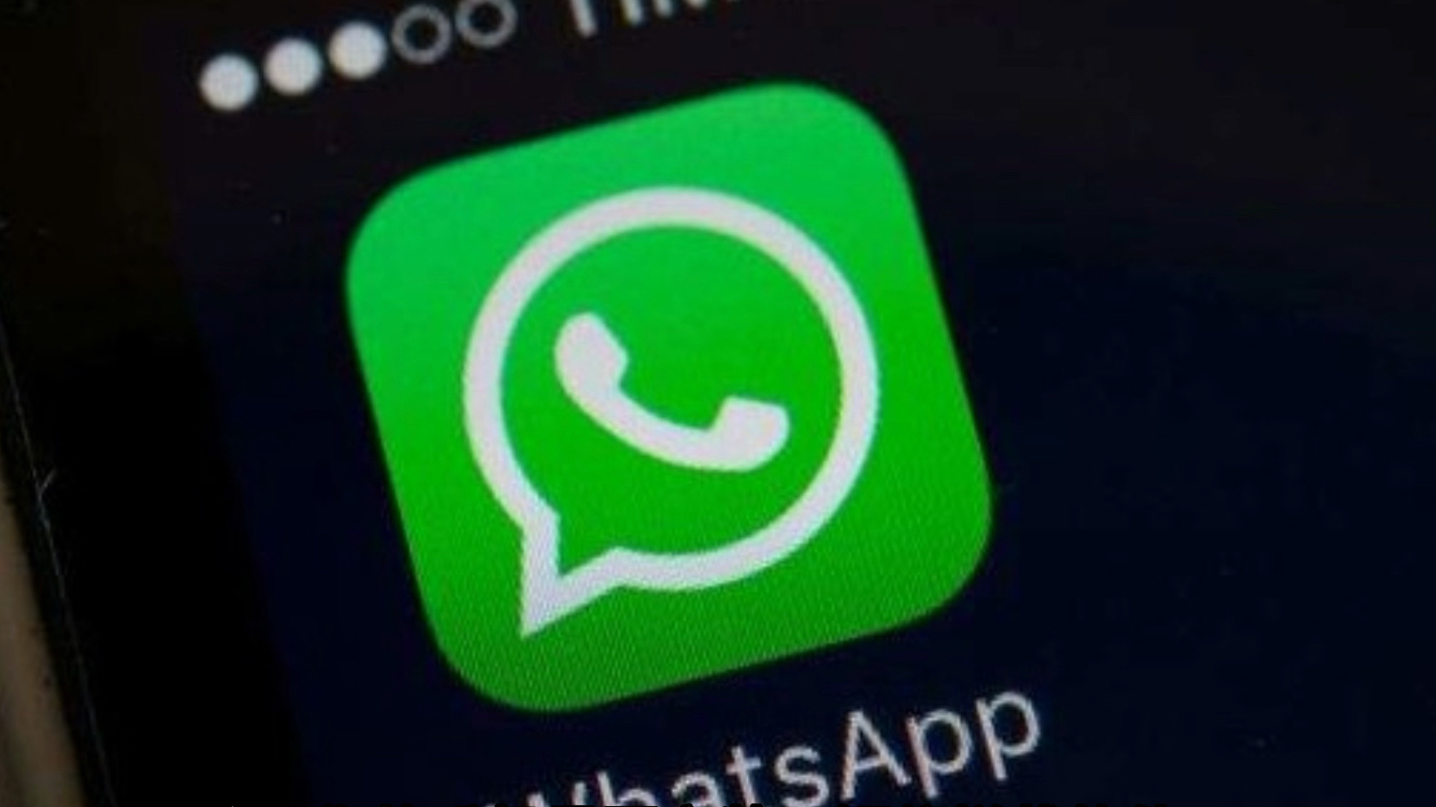 whatsapp安卓版下载2024_whatsapp安卓版下载2018版