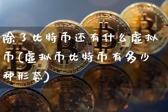 比特币是虚拟币吗?_比特币是虚拟的还是实物
