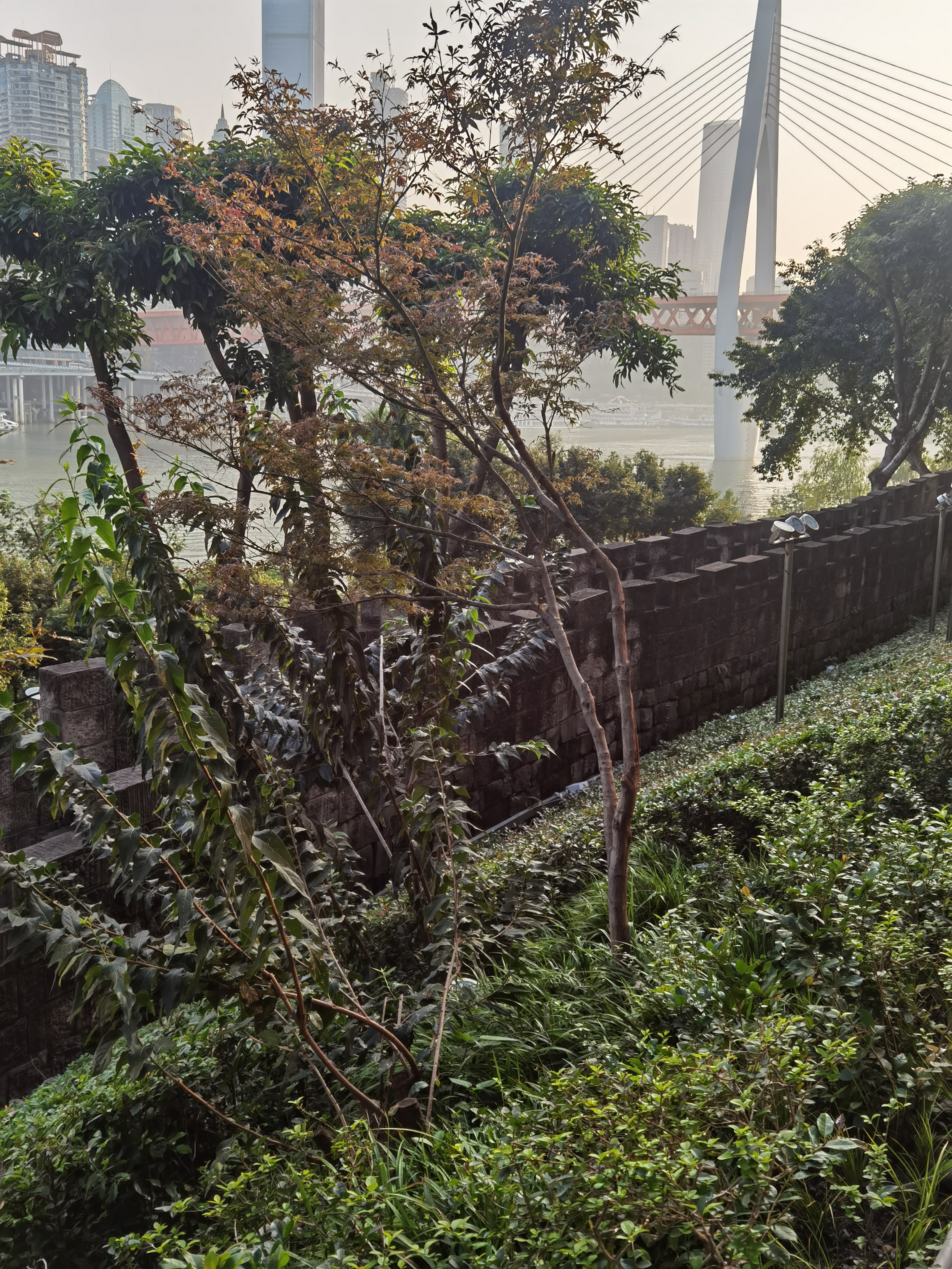 梯子试用一小时_梯子试用一小时会怎么样
