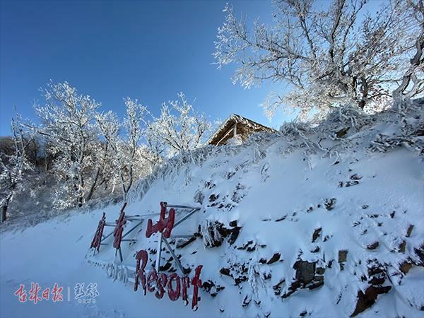 农安梯子大全_农村焊制家用梯子图片