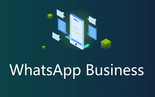 whatsapp安卓版下载2021_whatsapp安卓版下载2018版