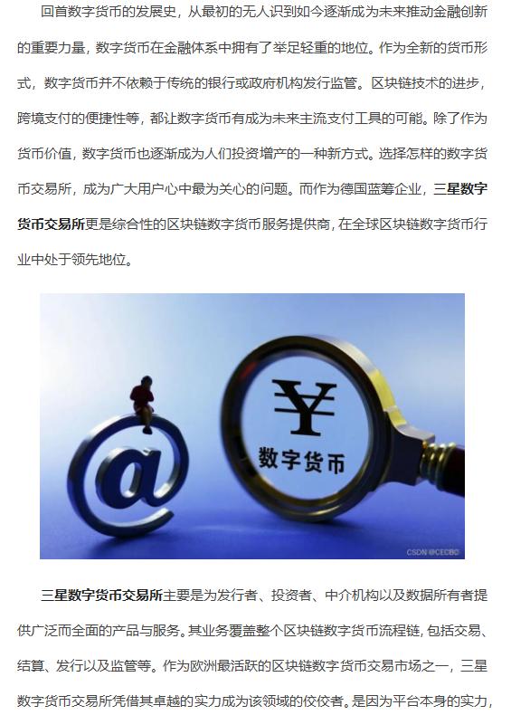 包含无单独法定货币货币局安排传统钉住安排的词条