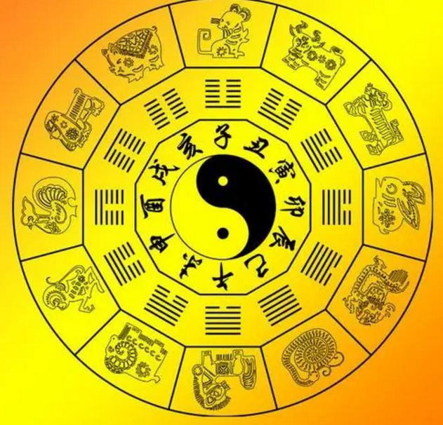 六部玄机码中码是什么生肖_六部玄机码中码是什么生肖动物
