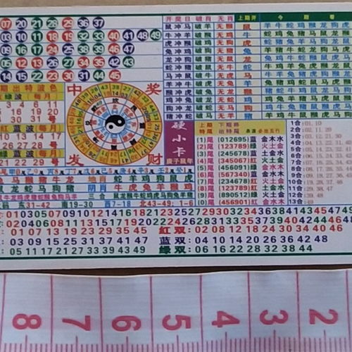 今期生肖六六来指什么生肖_今期生肖开金花,六六大顺二八来