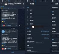 nekogram中文版_Nekogram中文版猫报