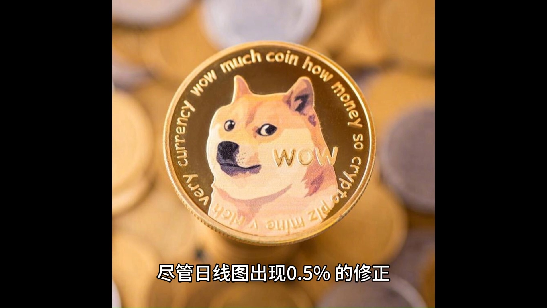 狗币美金实时行情_狗狗币美元行情走势