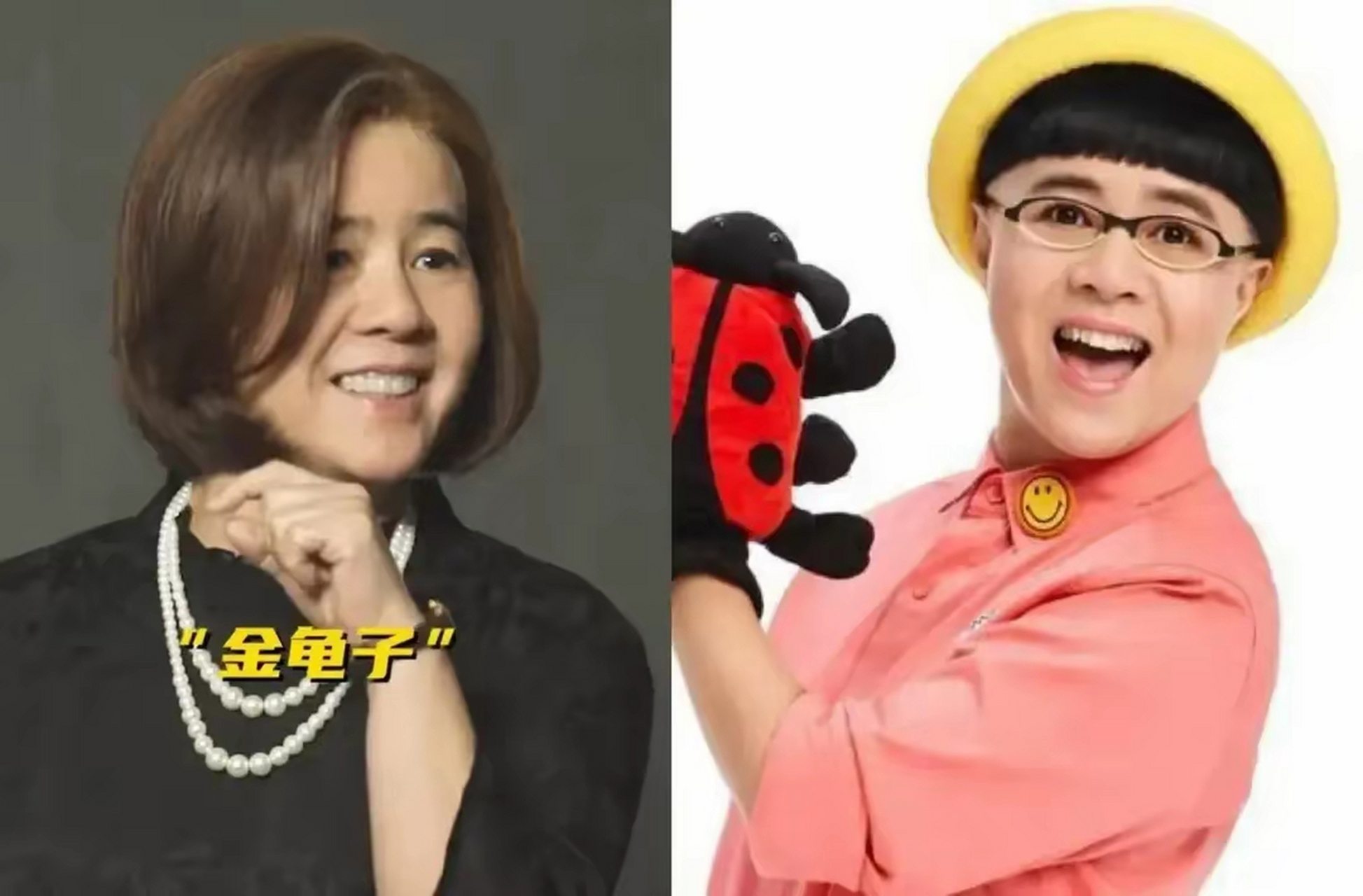 金龟子怎么了_金龟子现状怎么样