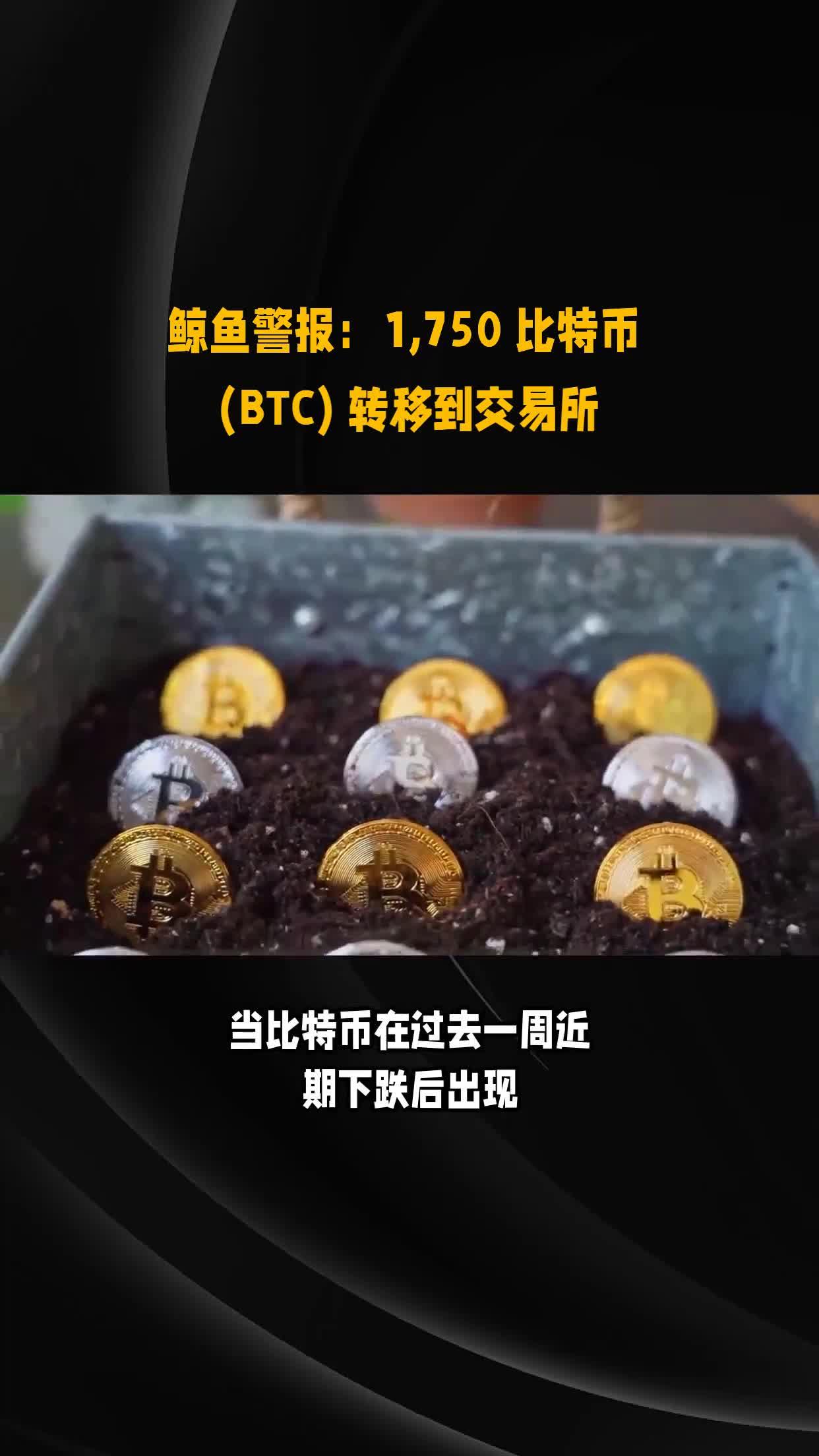 比特币矿机骗局_比特币矿机骗局是真的吗
