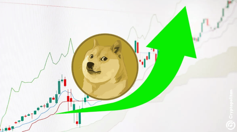 狗狗币今日价格行情_狗狗币今日价格行情走势