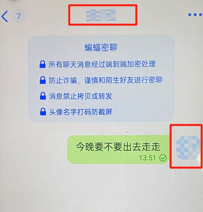 蝙蝠私密聊天软件_蝙蝠聊天软件253