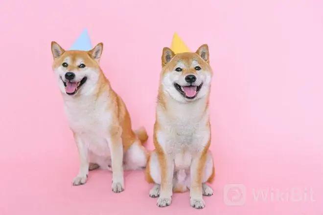 柴犬币2025年目标价_柴犬币未来5年估值多少钱