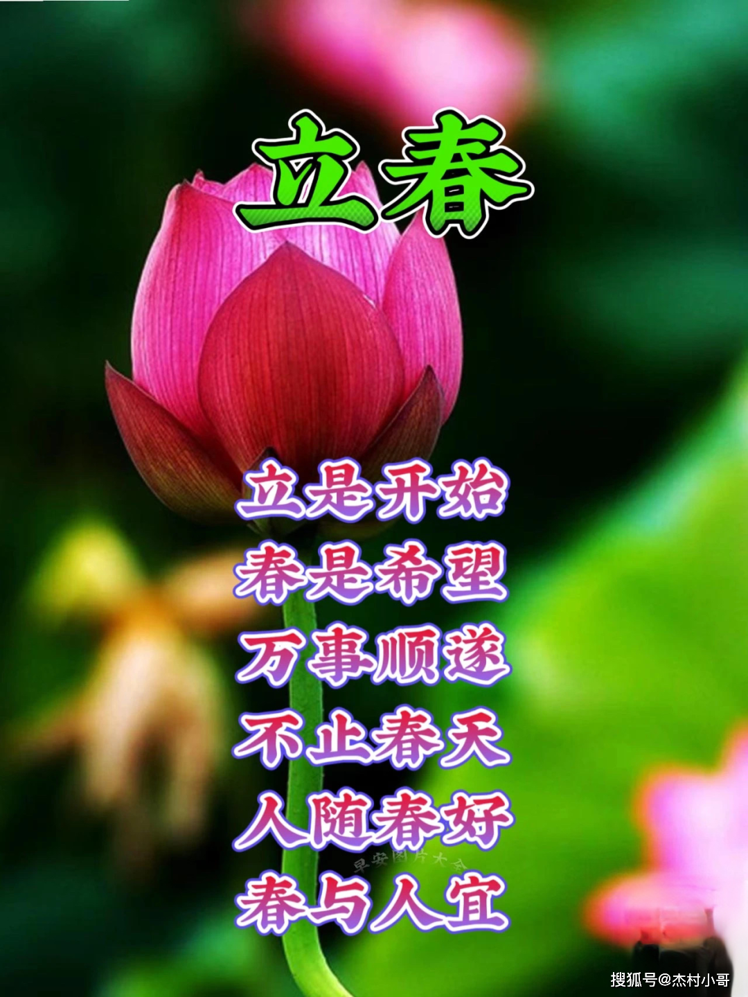 立春打一准确数子_立春打一生肖或一数字
