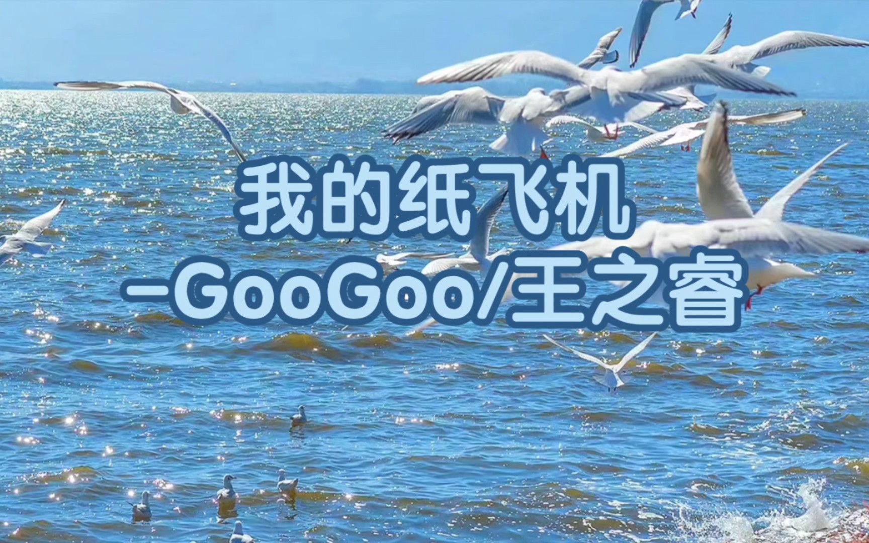 纸飞机pc中文_纸飞机中文版转换链接