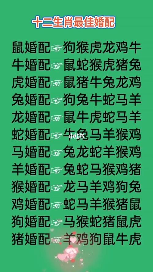 玄机字对是什么生肖_玄机字是什么生肖动物